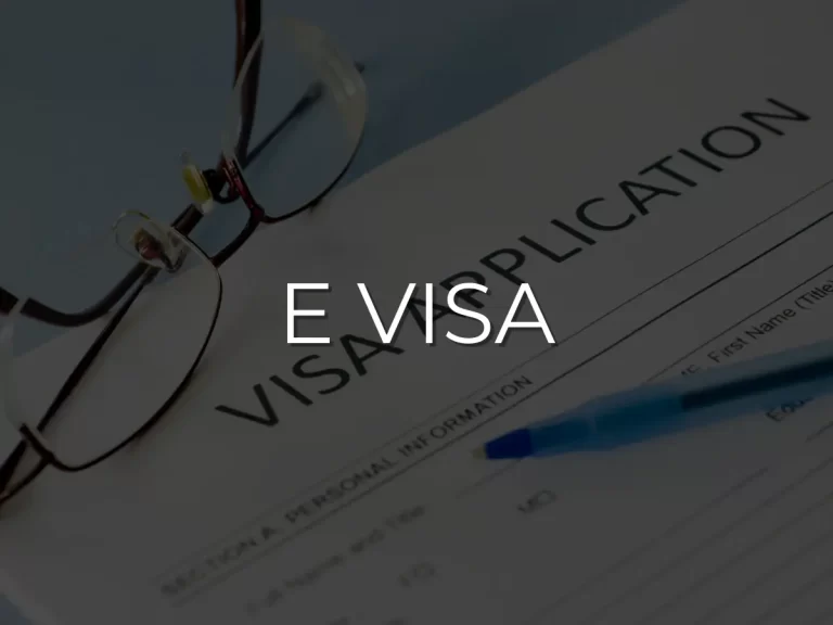 e VISA